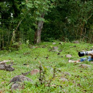 Discussion avec un boa au Costa Rica