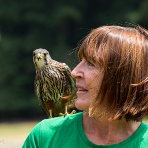 Debbie Stewart, Wingspan National Bird of Prey centre