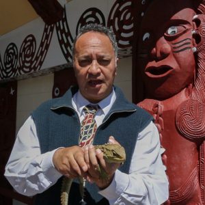 Michael Elkington, Ngati Koata, tenant un tuatara dans ses mains