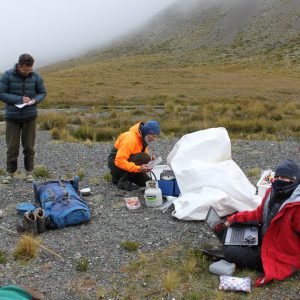 Le bureau de Sabine en Nouvelle-Zélande