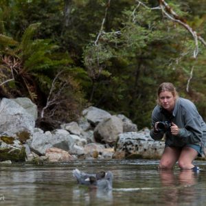 Ros Cole et des Whio dans un torrent de montagne, Nouvelle-Zélande